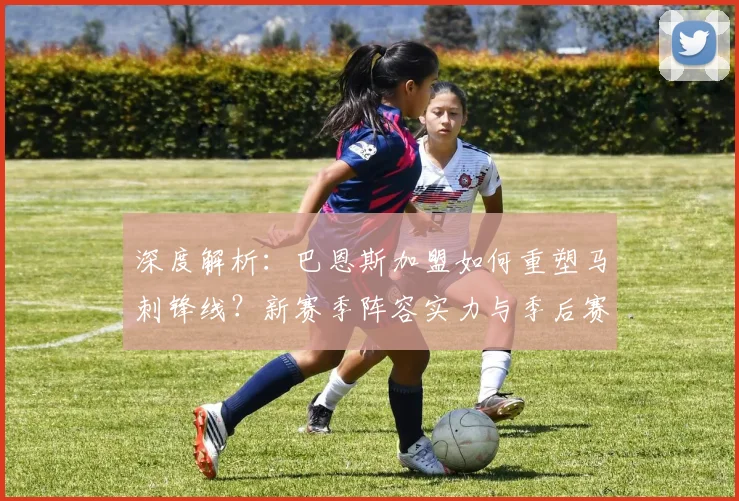 深度解析:巴恩斯加盟如何重塑马刺锋线?新赛季阵容实力与季后赛前景展望