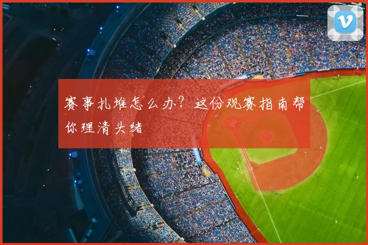 赛事扎堆怎么办？这份观赛指南帮你理清头绪