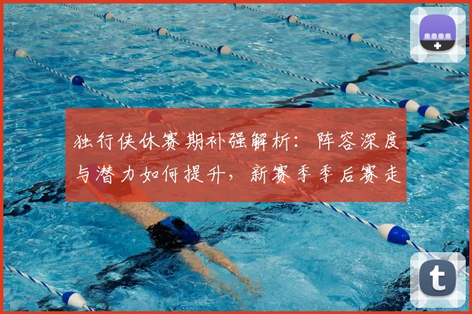 独行侠休赛期补强解析：阵容深度与潜力如何提升，新赛季季后赛走势预测