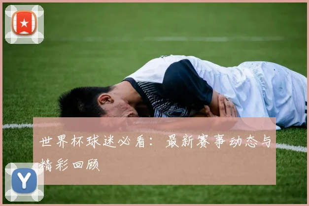 世界杯球迷必看：最新赛事动态与精彩回顾